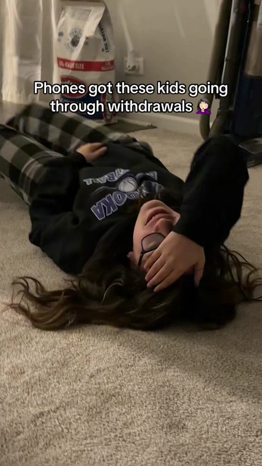 Post 6 by Alicia Alfaro on TikTok (video)