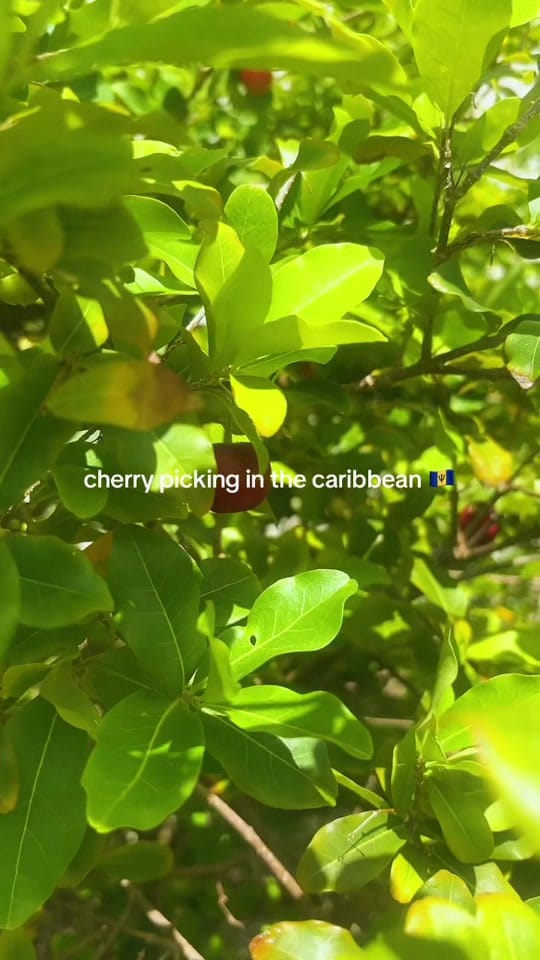 Post 4 by ✨ Mac ✨ on TikTok (video)