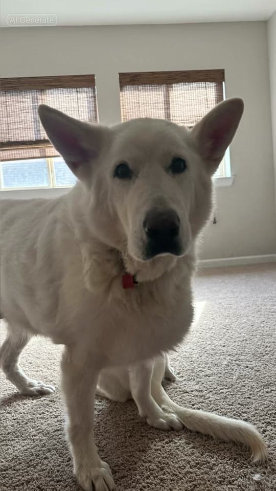 Post 10 by Nawty on TikTok (video)