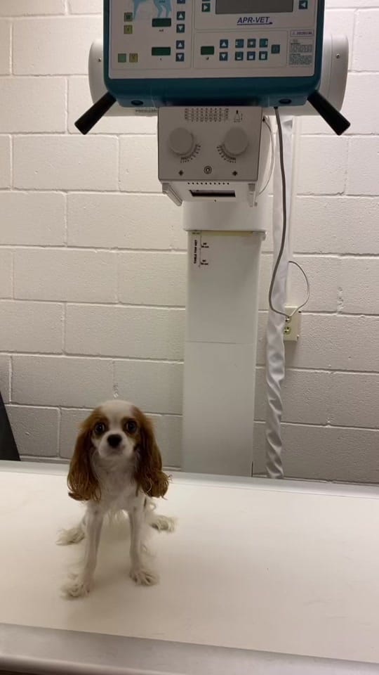 Post 10 by Jose Rubio on TikTok (video)