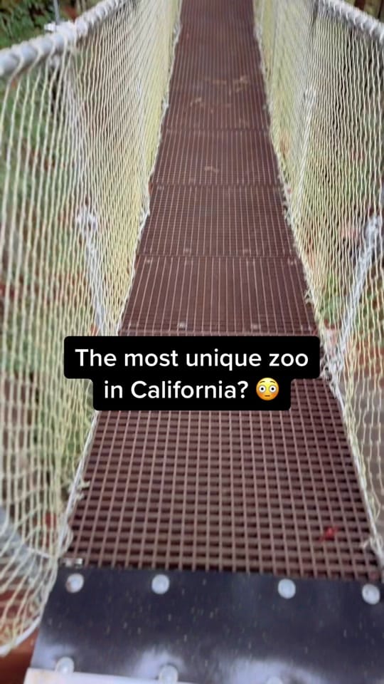 Post 8 by Californian Views on TikTok (video)