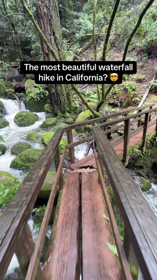 Post 3 by Californian Views on TikTok (video)