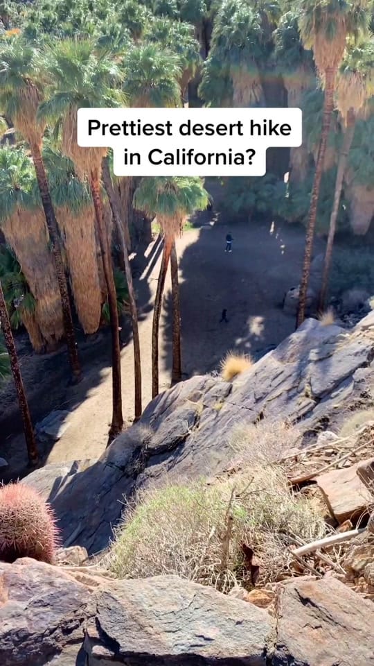 Post 10 by Californian Views on TikTok (video)