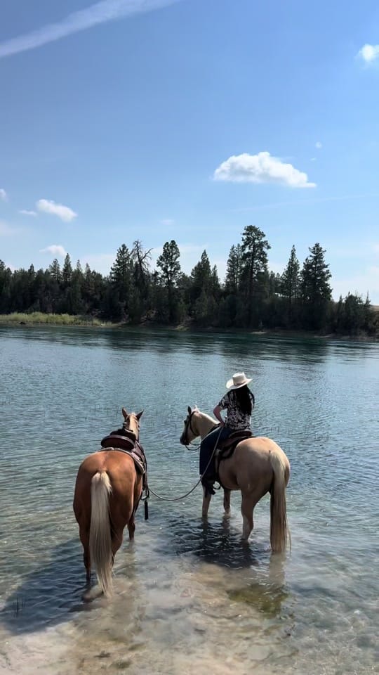 Post 6 by MontanaElopementPhotographer on TikTok (video)