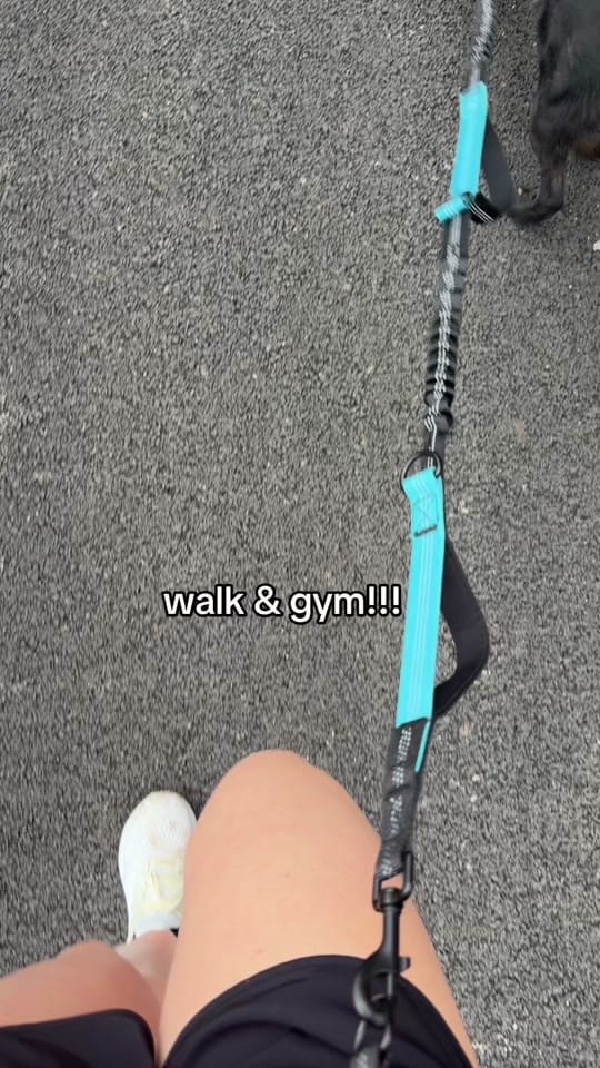 Post 5 by Sydney Gibson | CMHC Student🧠 on TikTok (video)