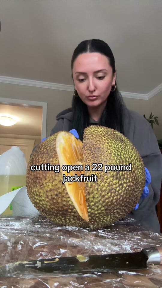 Post 7 by Lo on TikTok (video)