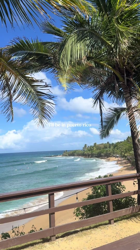 Post 5 by lulu.scout on TikTok (video)