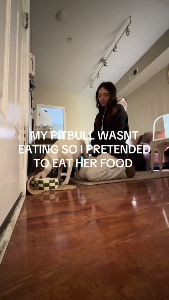 Post 8 by lulu.scout on TikTok (video)