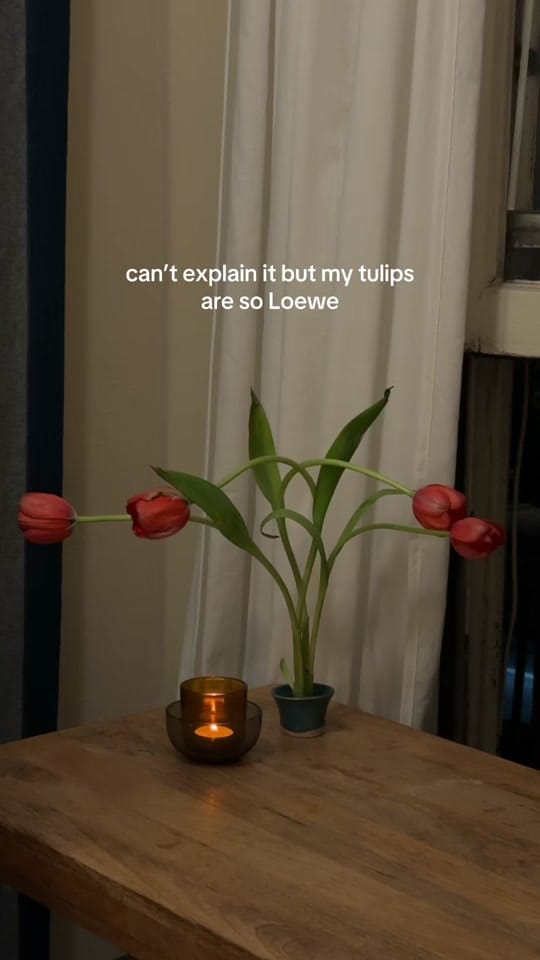 Post 1 by tag herr on TikTok (video)