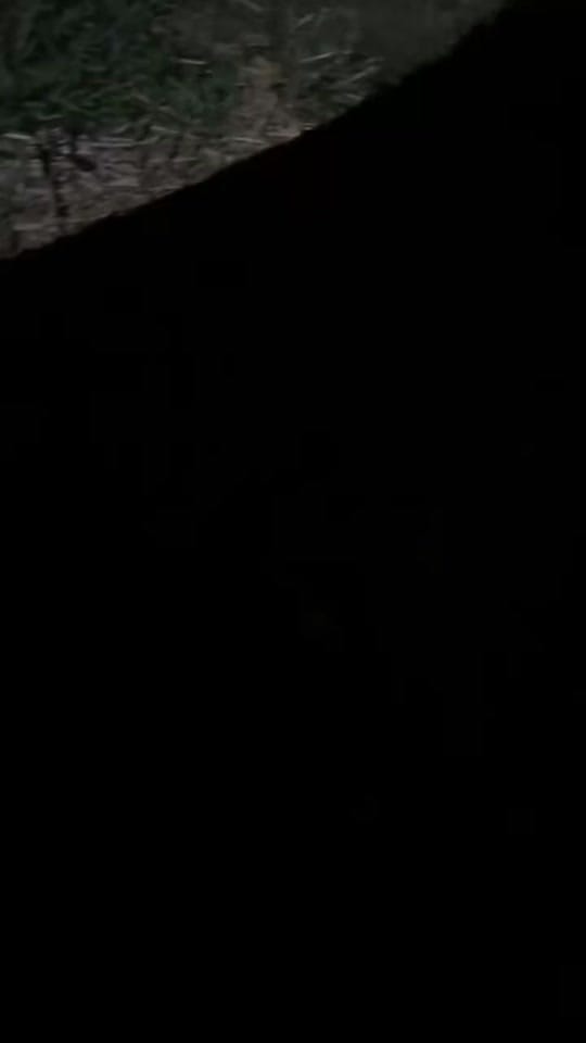 Post 2 by Shana Lester on TikTok (video)