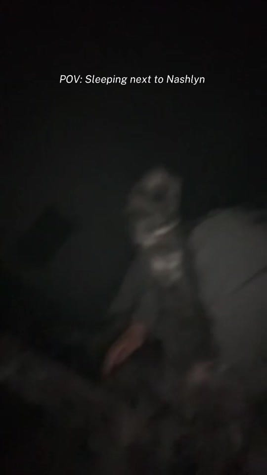 Post 6 by Shana Lester on TikTok (video)
