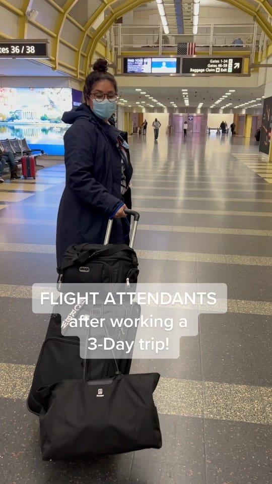 Post 7 by Stella on TikTok (video)