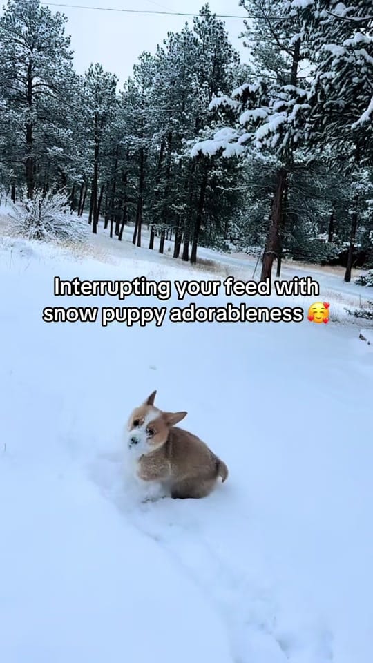 Post 1 by ModStik_Designs on TikTok (video)