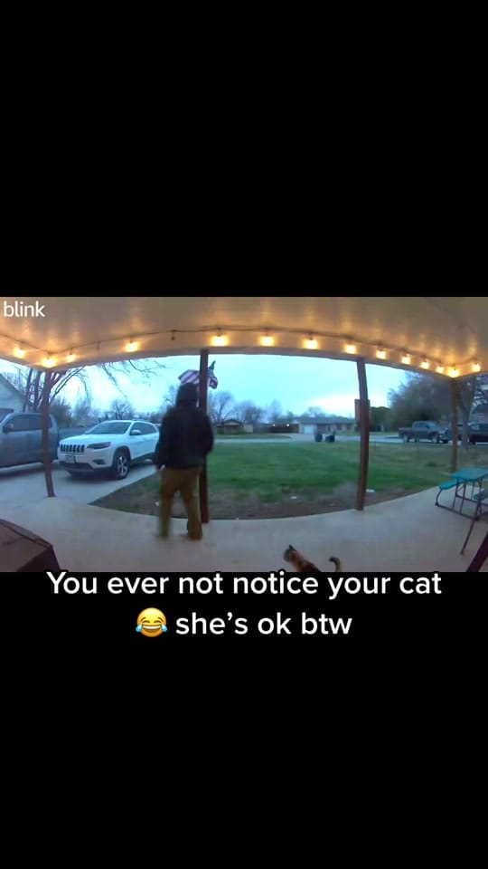 Post 8 by Colt Gee on TikTok (video)