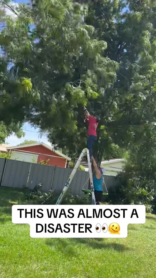 Post 5 by Colt Gee on TikTok (video)
