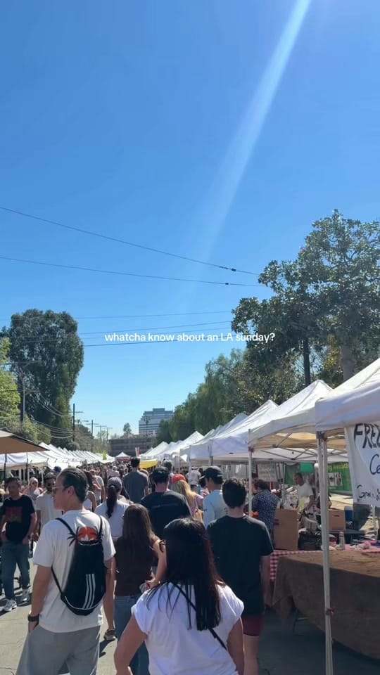 Post 5 by bri santilli on TikTok (video)