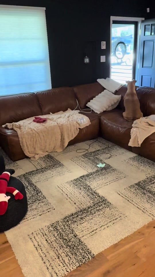 Post 2 by ALLANFACE on TikTok (video)
