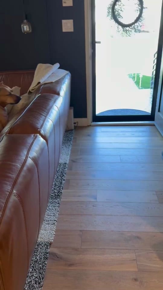Post 3 by ALLANFACE on TikTok (video)