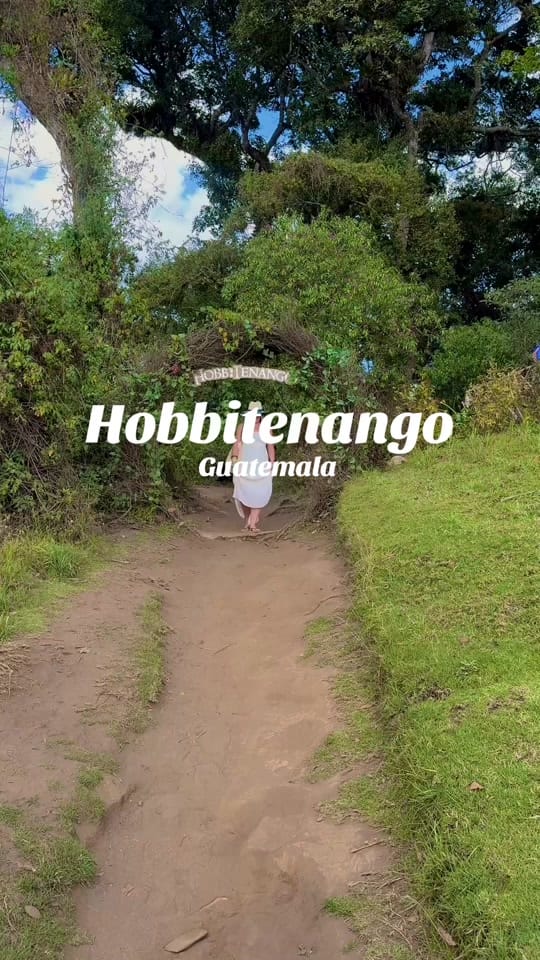 Post 4 by Natalie on TikTok (video)