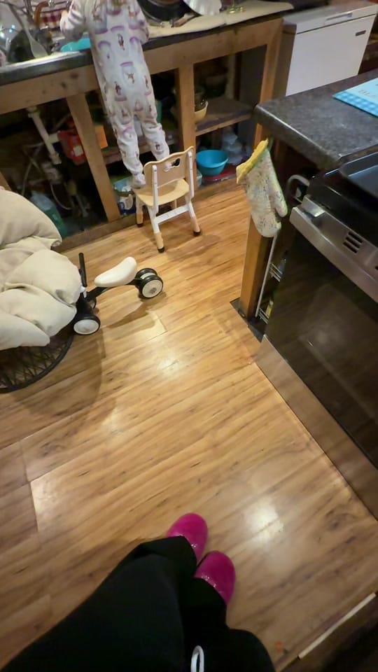 Post 3 by 🦩EmeliaBedelia🦩 on TikTok (video)