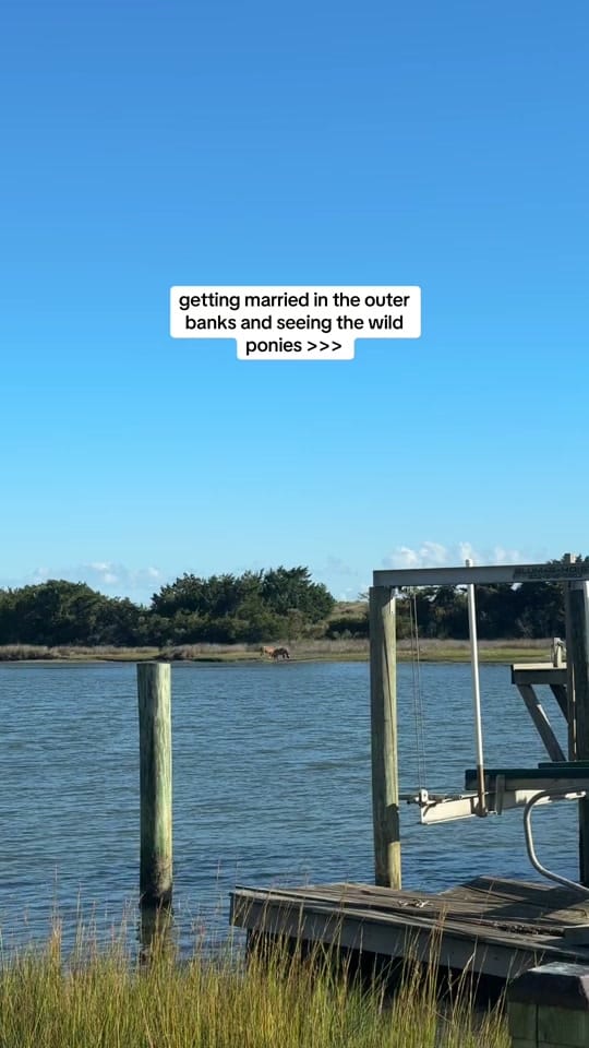 Post 7 by Emily Parker Photo on TikTok (video)