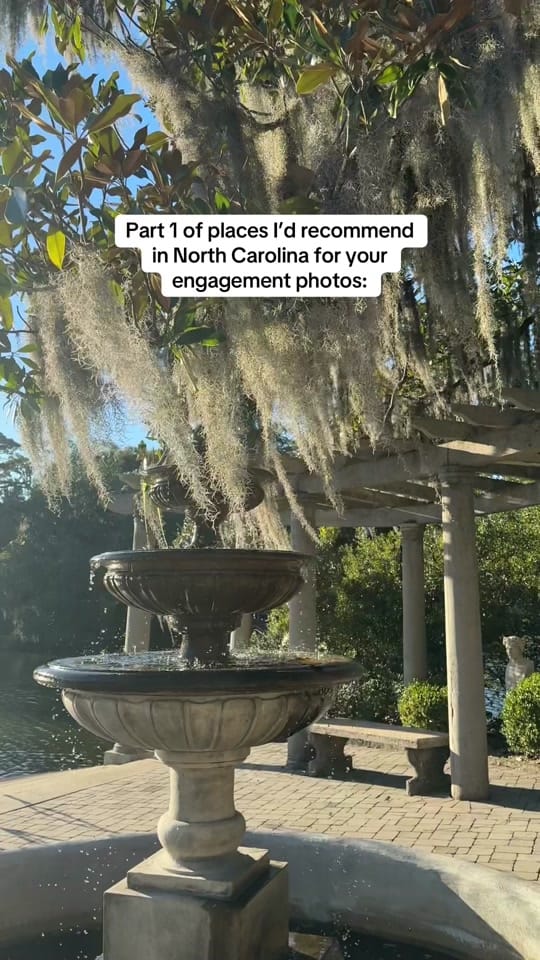 Post 6 by Emily Parker Photo on TikTok (video)