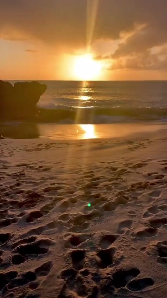 Post 7 by Katerina Alday ✨ on TikTok (video)
