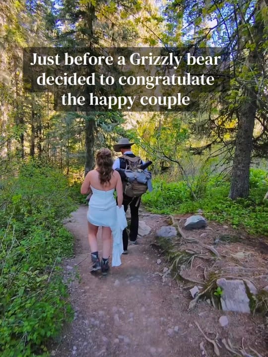 Post 5 by Jill Jones~Montana Elopements on TikTok (video)