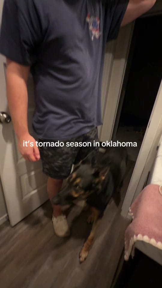 Post 5 by jordan on TikTok (video)