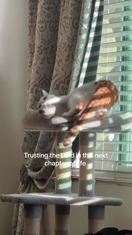 Post 6 by 🌟𝕊𝕒𝕝𝕝𝕚🌟 on TikTok (video)