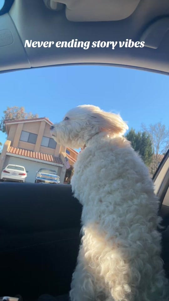 Post 3 by 🌟𝕊𝕒𝕝𝕝𝕚🌟 on TikTok (video)