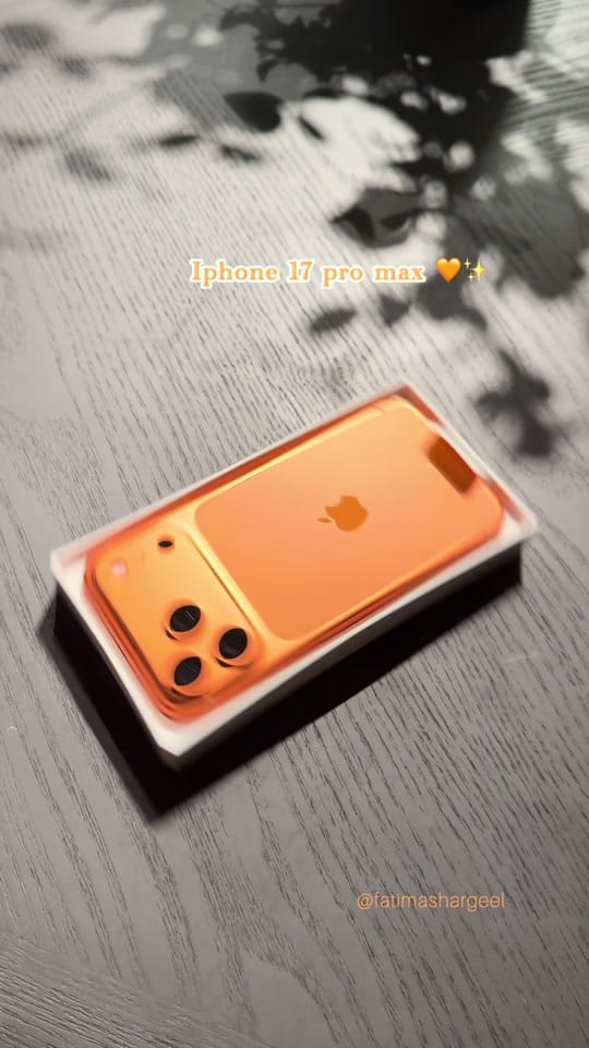Post 6 by Fatima Shargeel 🇺🇸 on TikTok (video)