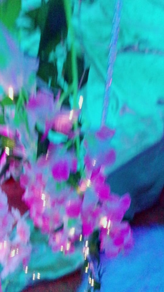 Post 10 by gottobme.photography on TikTok (video)