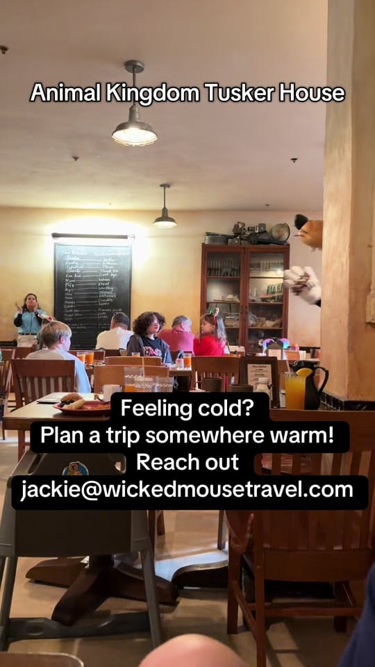 Post 8 by Jackie Reinhart on TikTok (video)