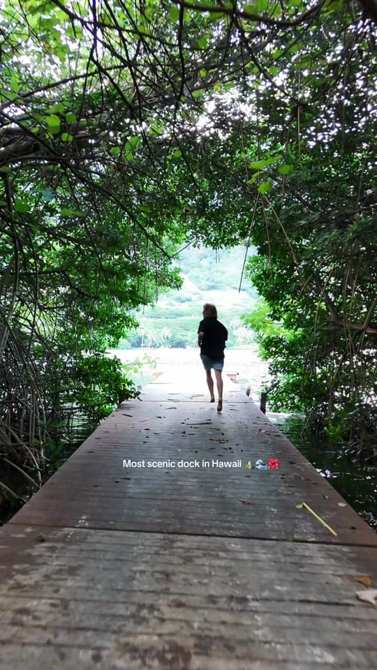 Post 10 by Braxton Fish on TikTok (video)