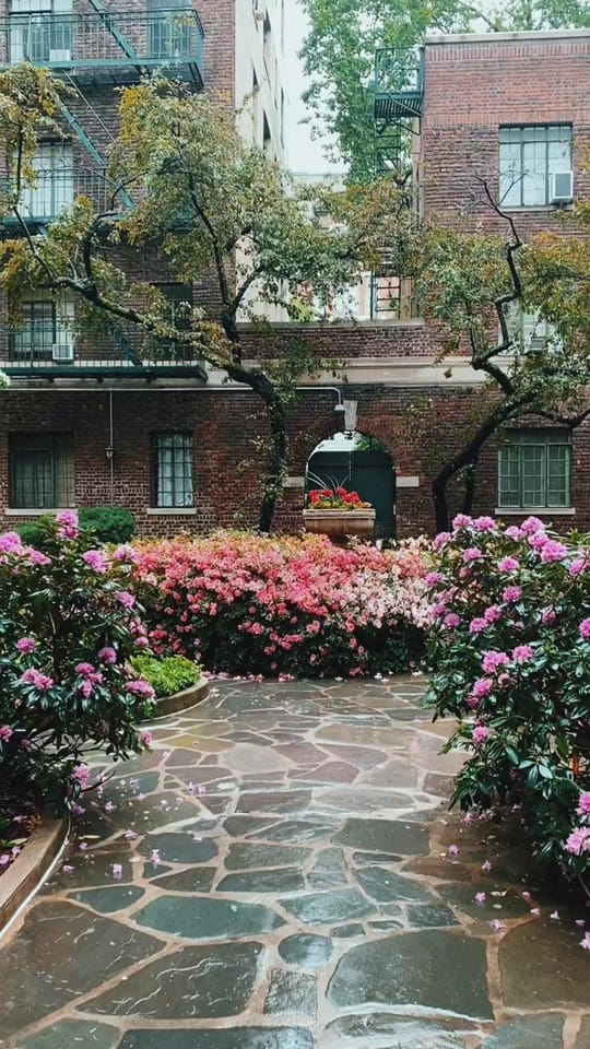 Post 3 by joethommas on TikTok (video)