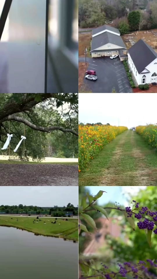 Post 8 by IvyJanielle McCullough on TikTok (video)