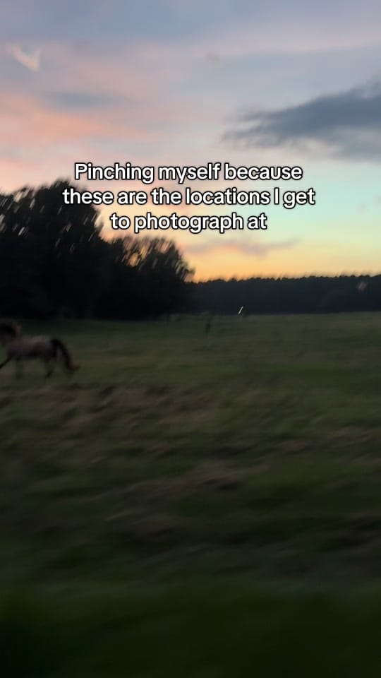 Post 4 by JessicaLeePhotography on TikTok (video)