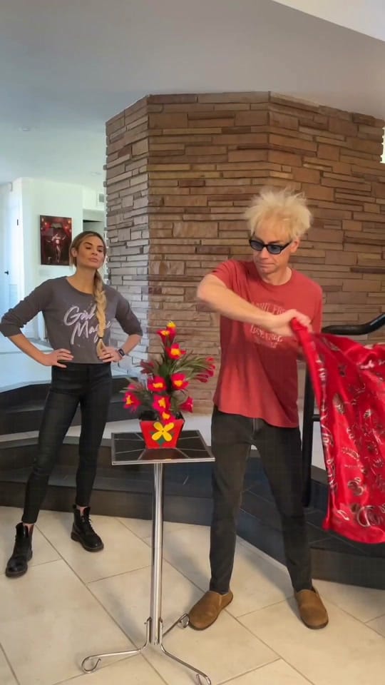 Post 5 by magicmurray on TikTok (video)