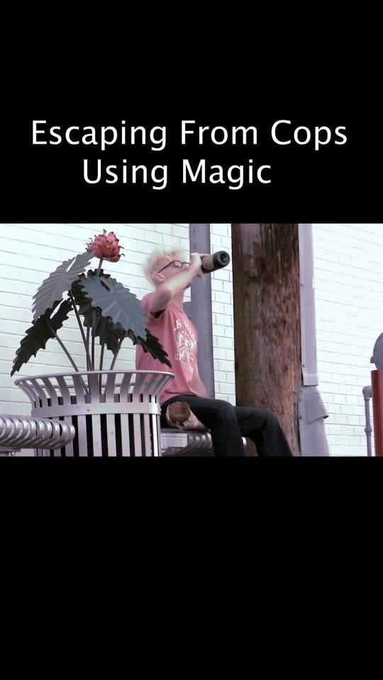 Post 4 by magicmurray on TikTok (video)