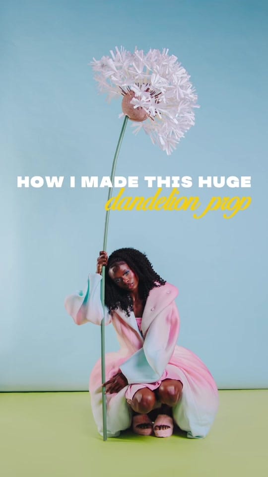 Post 7 by isa | Chicago Photographer on TikTok (video)