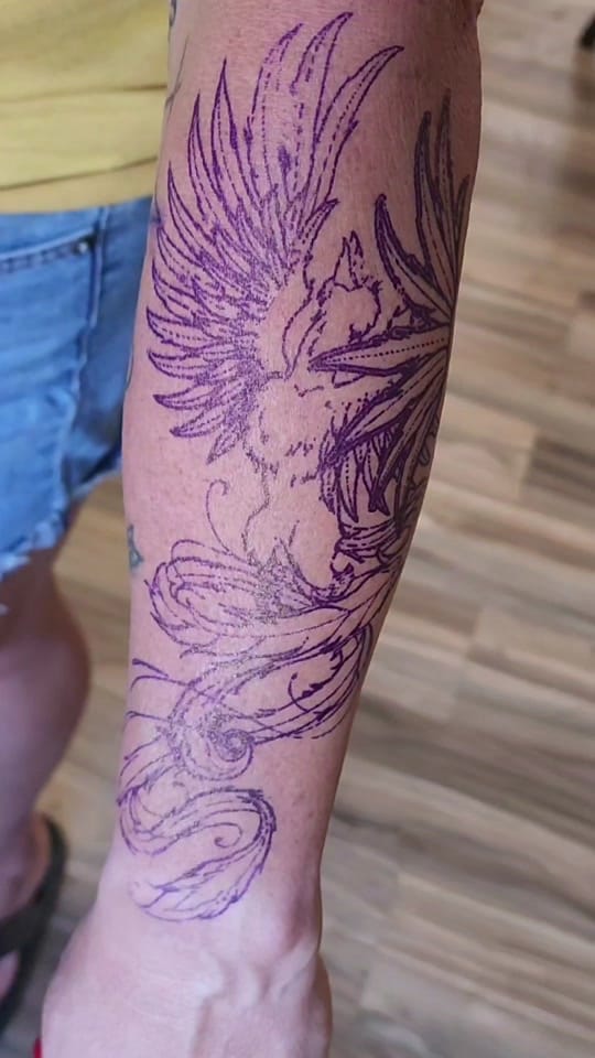 Post 7 by Vii Duquette on TikTok (video)