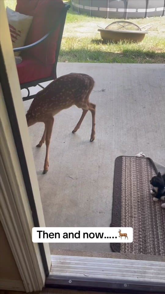 Post 7 by J P on TikTok (video)