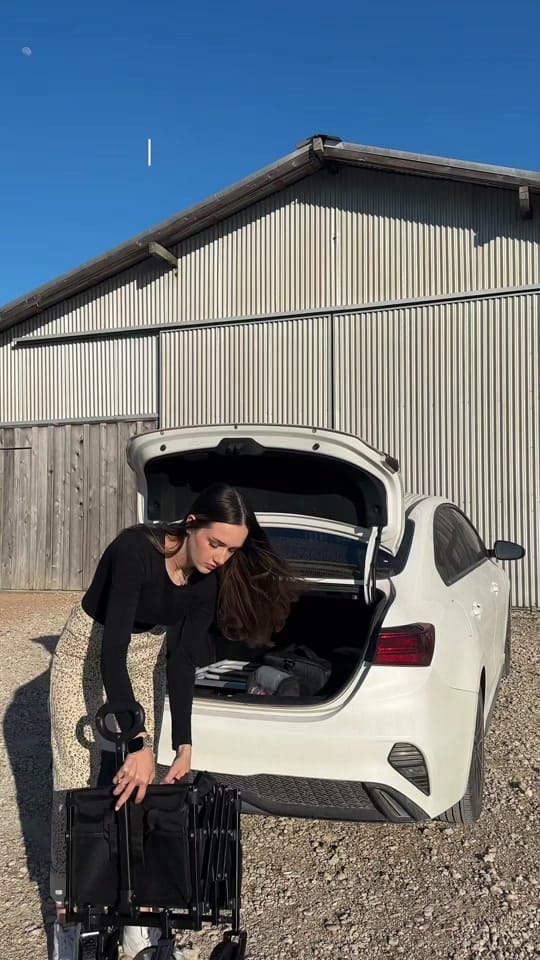 Post 8 by Harley Starr on TikTok (video)