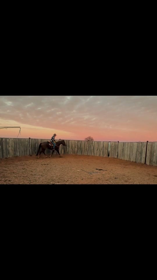 Post 8 by Sam on TikTok (video)