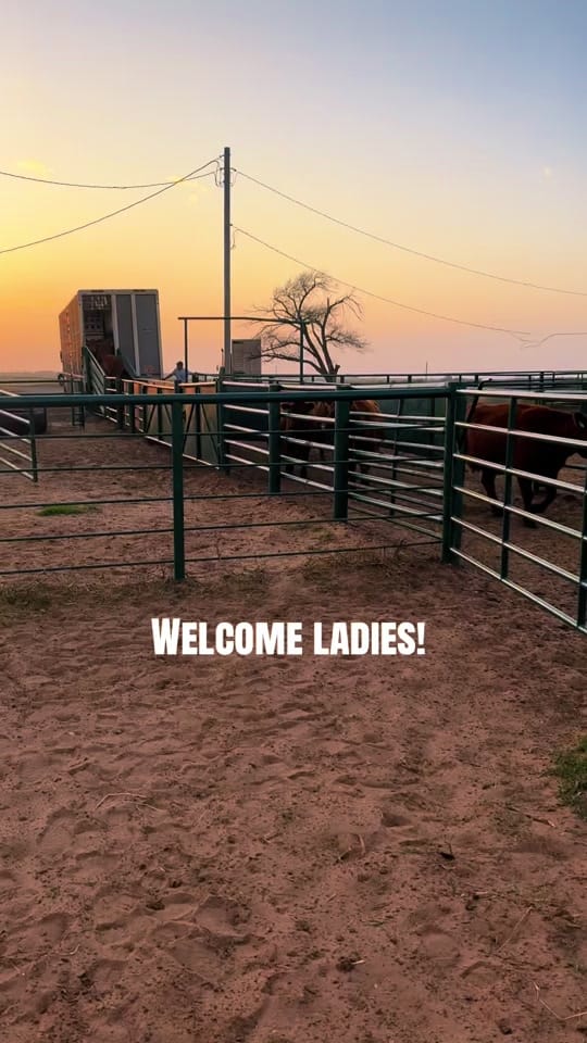 Post 6 by Sam on TikTok (video)