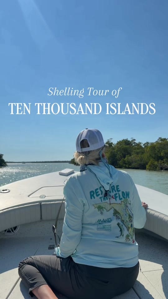 Post 4 by wanderwithdonna on TikTok (video)