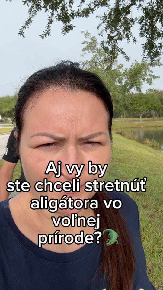 Post 7 by slovenkazamlakou on TikTok (video)