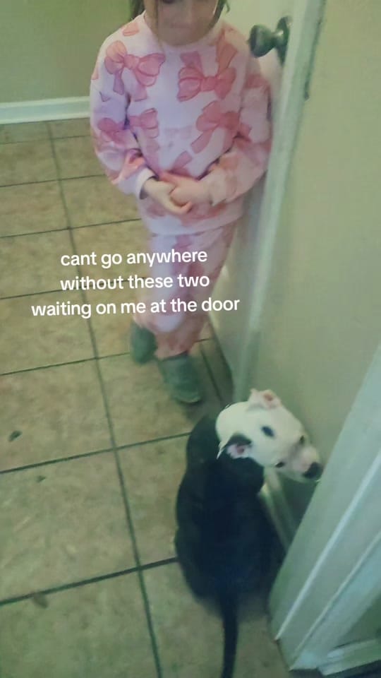 Post 8 by NIC🎀LE | 🎀Mama of Both🏈 on TikTok (video)