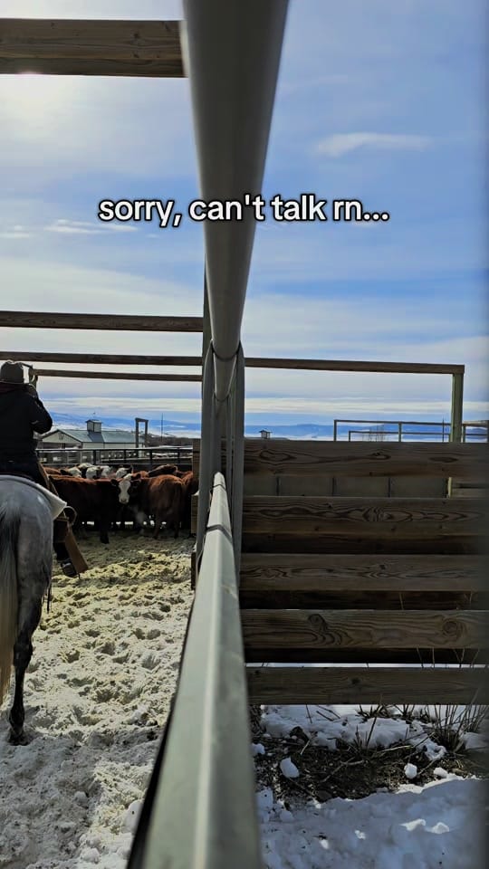 Post 3 by Jamie Lee on TikTok (video)